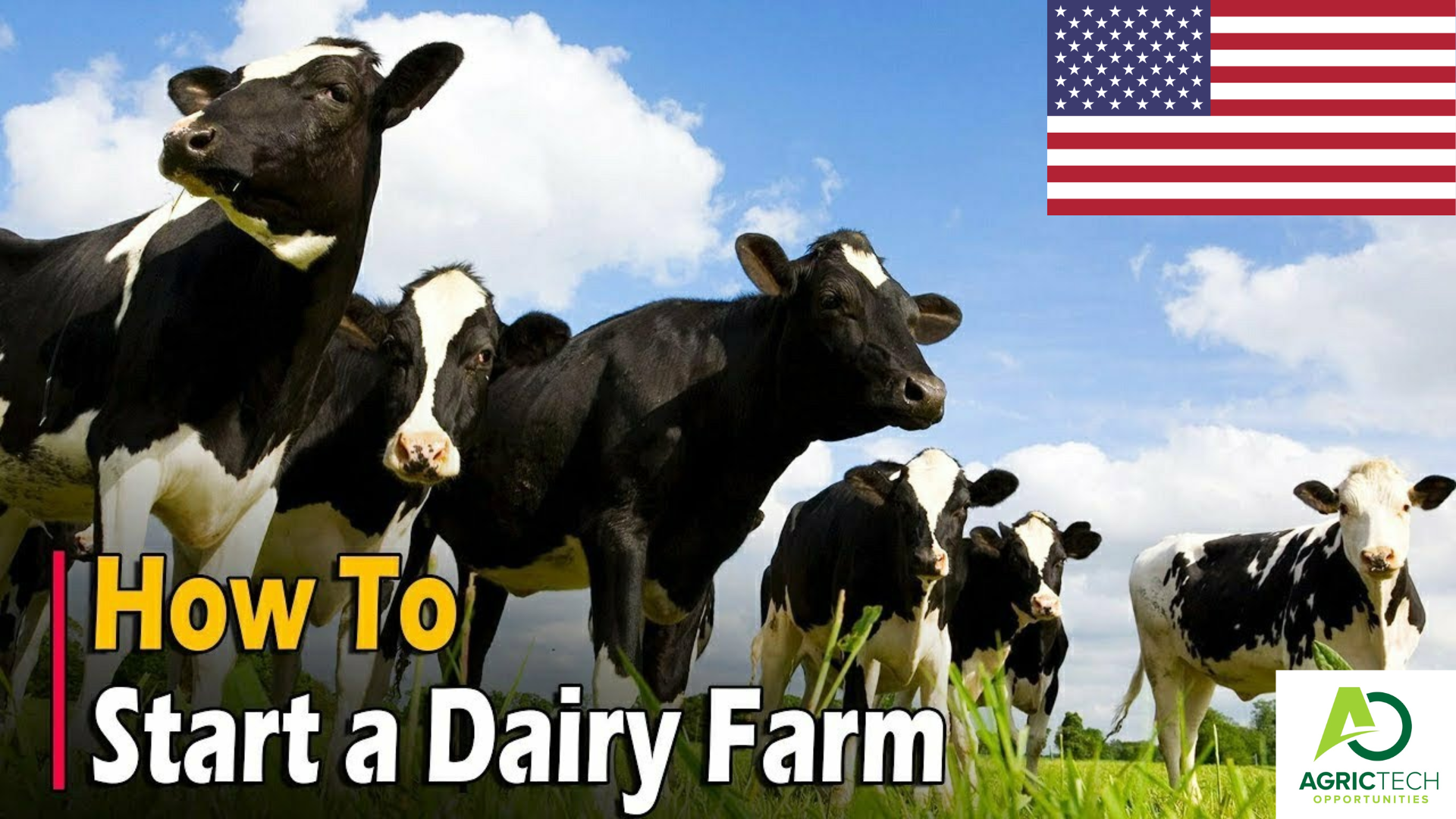 How To Start Dairy Farming In United States Business Plan Breed