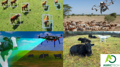 Precision Agric: The Use Of Drones In Herding Cattle And Monitoring |Agric Tech |