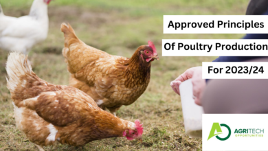 Approved Principles Of Poultry Production For 2023/24