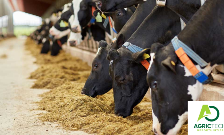 Approved Principles of Dairy Cow Nutrition
