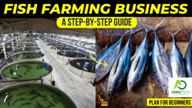 Fish Farming As A Beginner :12 Types Of Fish And How They Are Bred, The Packing And Processing Of Fish