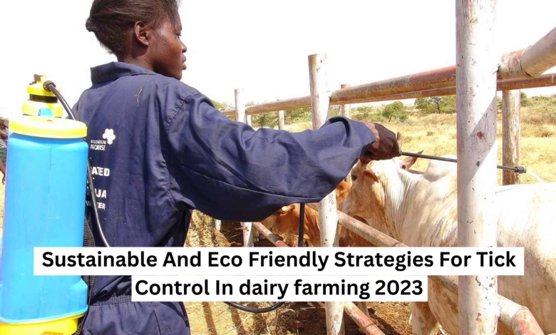 Sustainable And Eco Friendly Strategies For Tick Control In dairy farming 2023