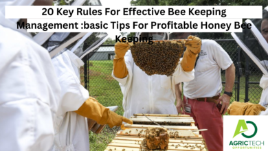 20 Key Rules For Effective Bee Keeping Management :basic Tips For Profitable Honey Bee Keeping