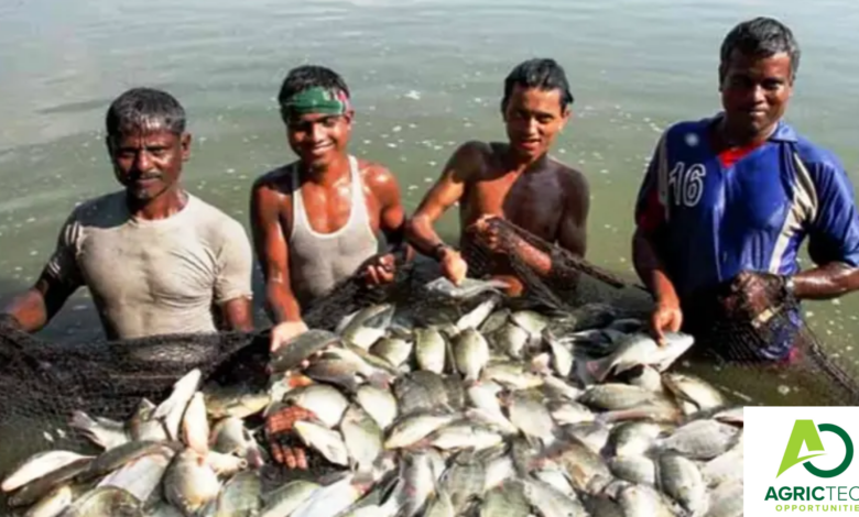 Profitable Fish production In Zimbabwe 2023