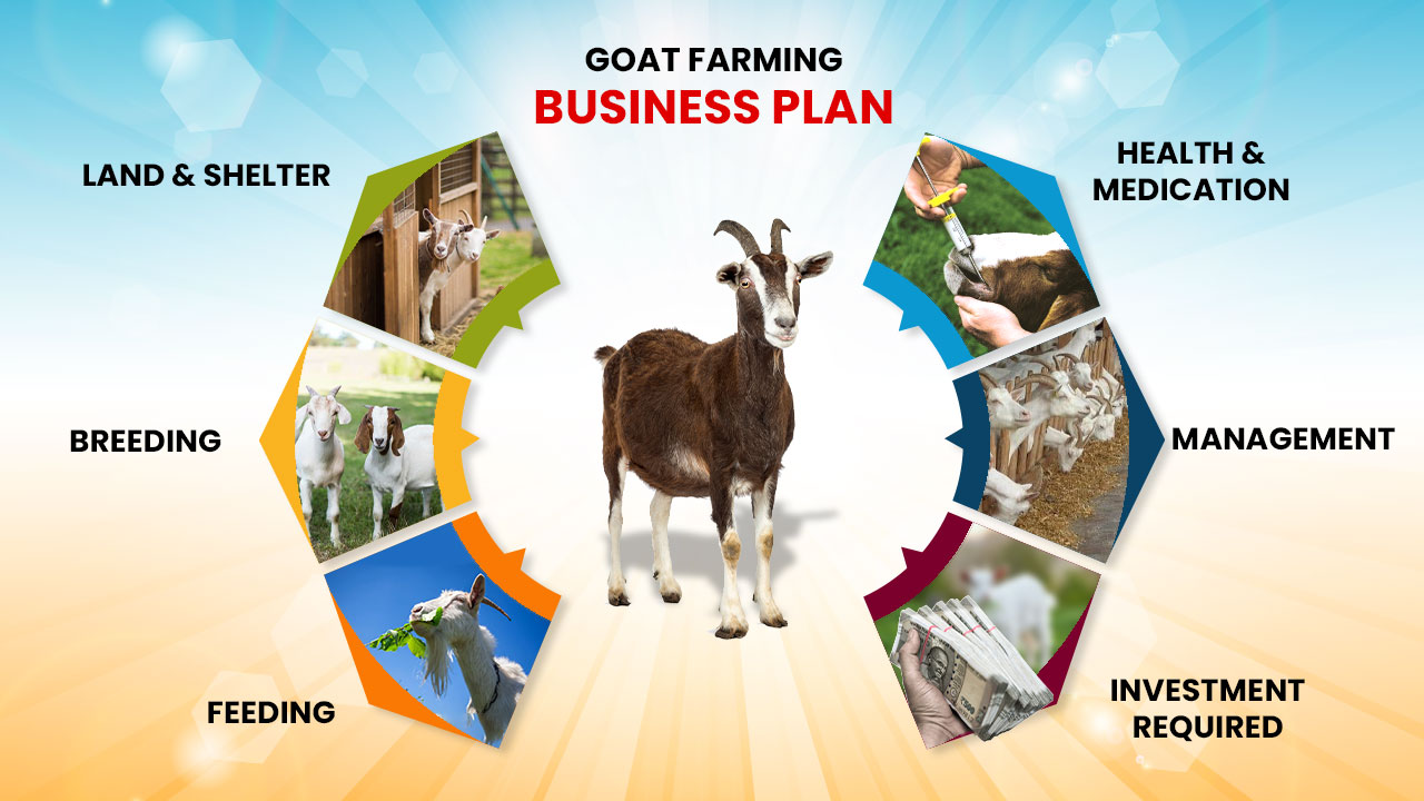 dairy goat business plan (pdf)