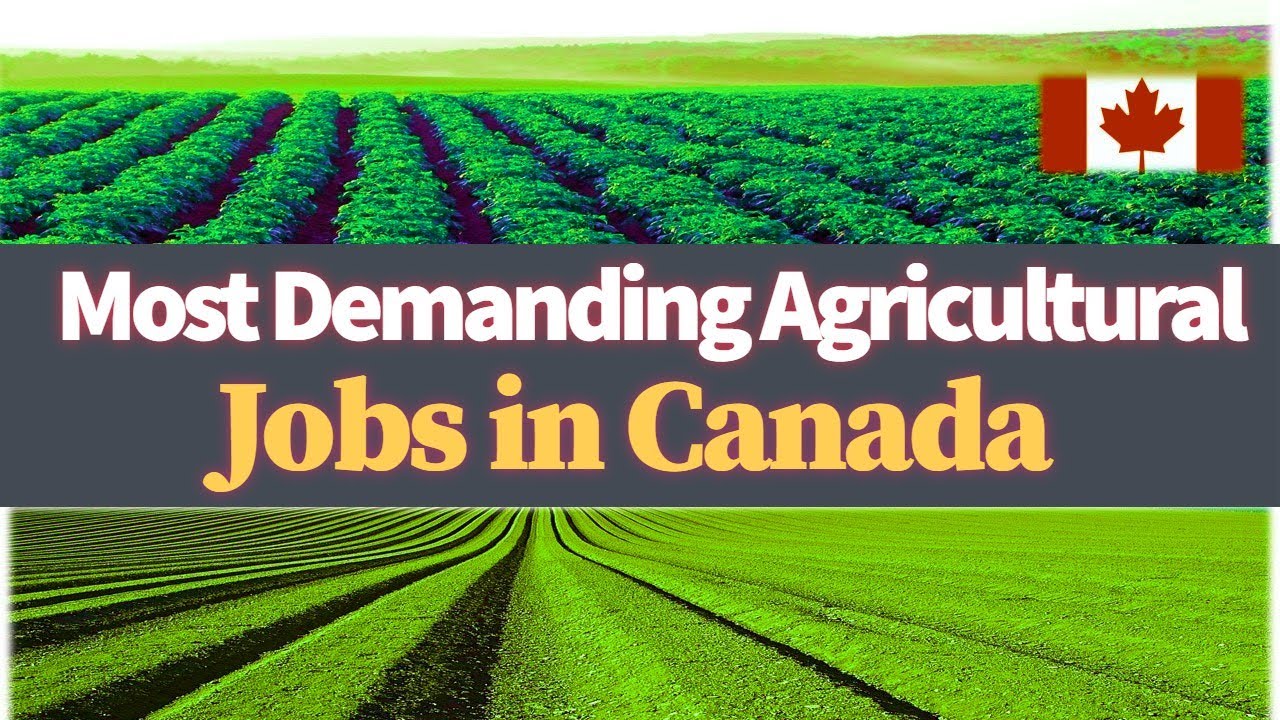 best-websites-to-find-agricultural-jobs-in-canada-with-visa-sponsorship