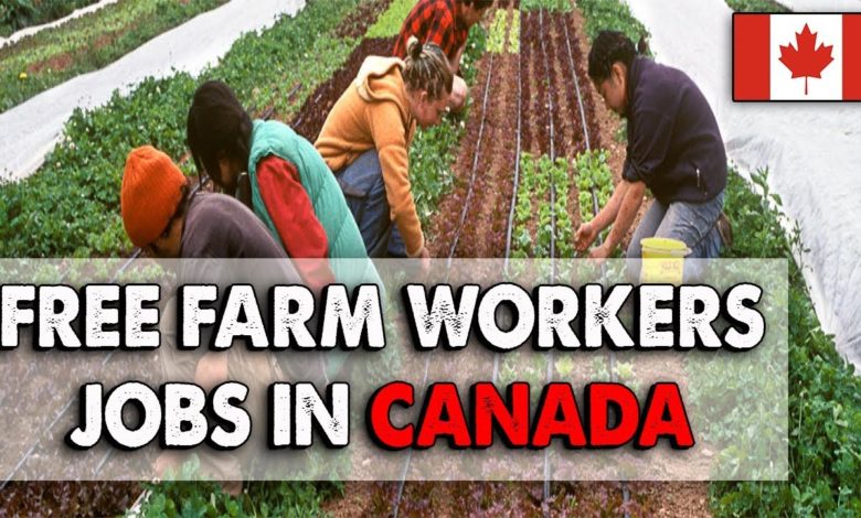 Updated Websites For Foreigners Looking For Farm Labor Jobs In Canada   Canada Farm Worker Jobs 780x470 