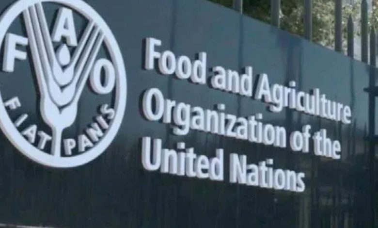 The United Nations Food And Agriculture Organization- FAO Is Hiring As ...