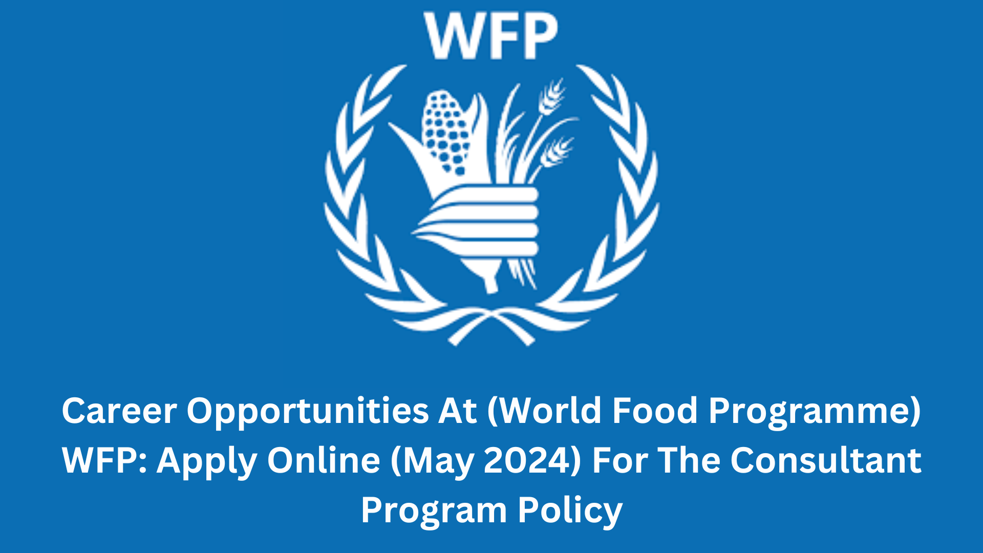 Career Opportunities At (World Food Programme) WFP Apply Online (May